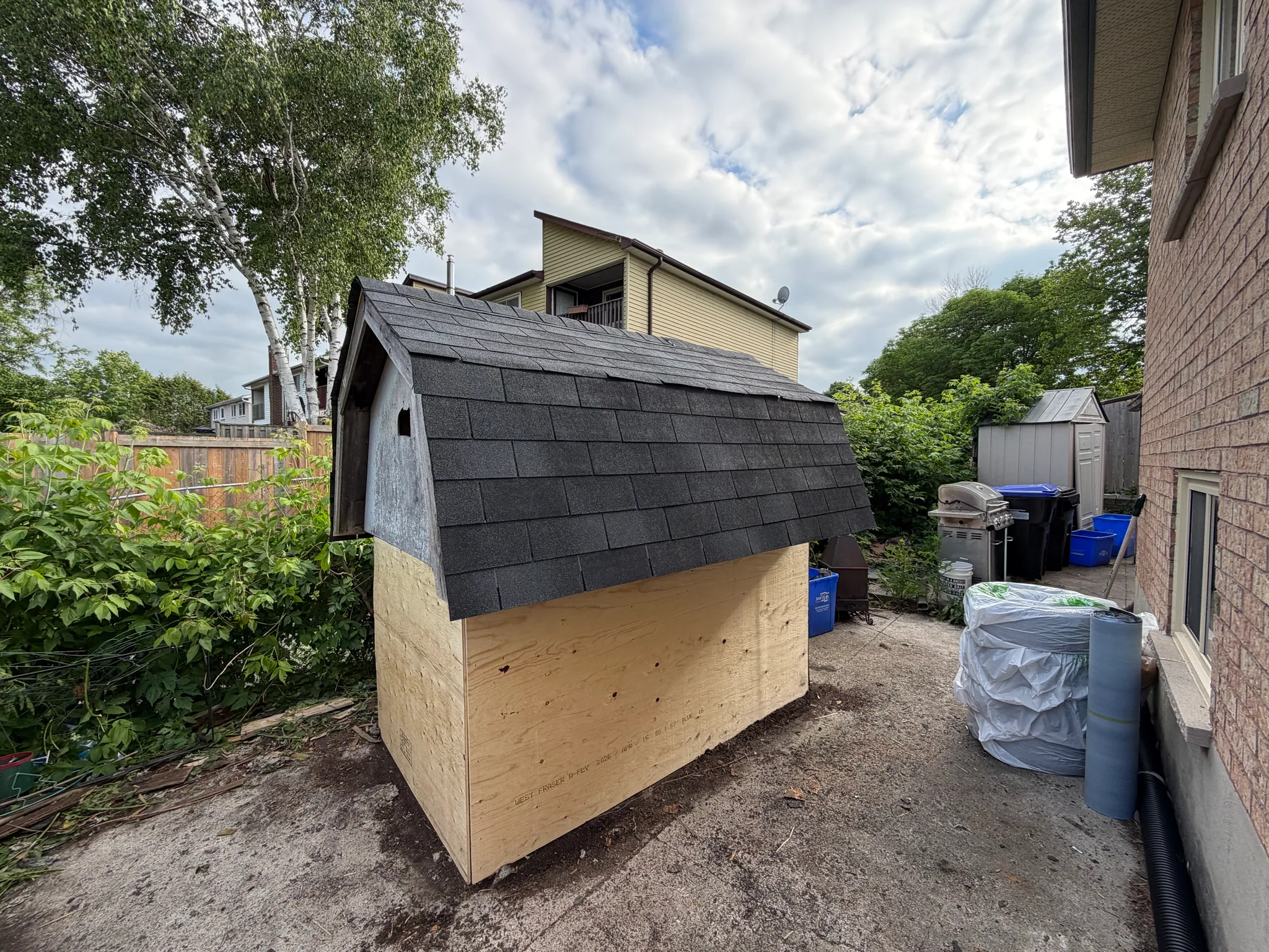 Shed roof after repairs, with new shingles